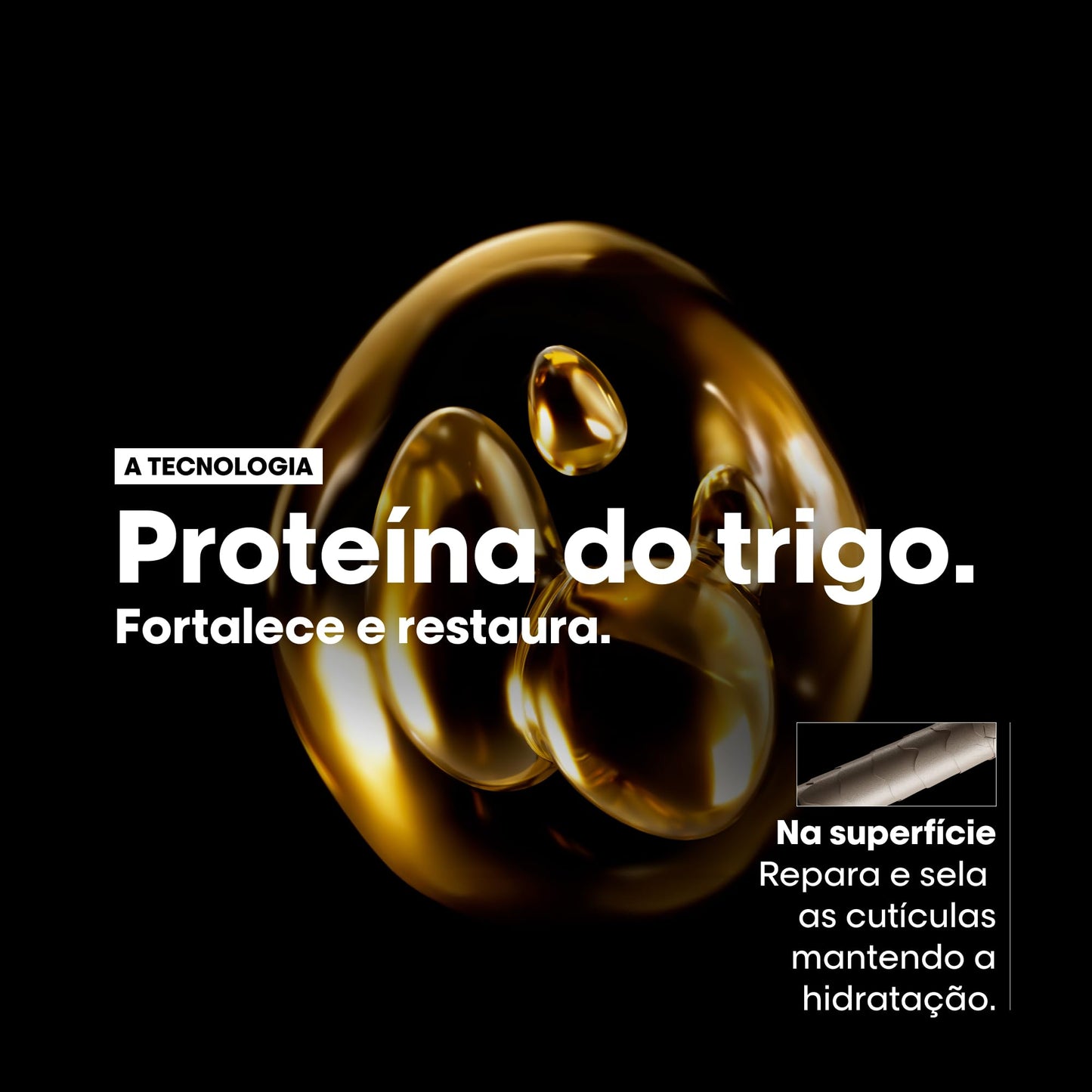 L'Oréal Professionnel Serie Expert Absolut Repair, Shampoo Reconstrutor para Cabelos Danificados e Finos Refil com Quinoa Dourada, Reparação Profunda e Brilho Intenso 240ml